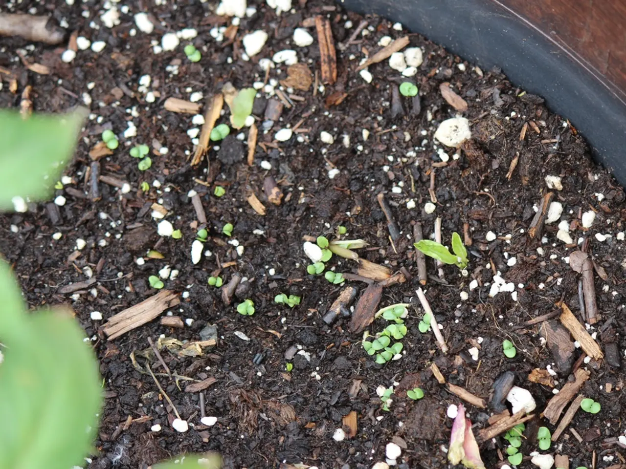 Soil Compositions in India: Important Factors to Consider for Agriculture