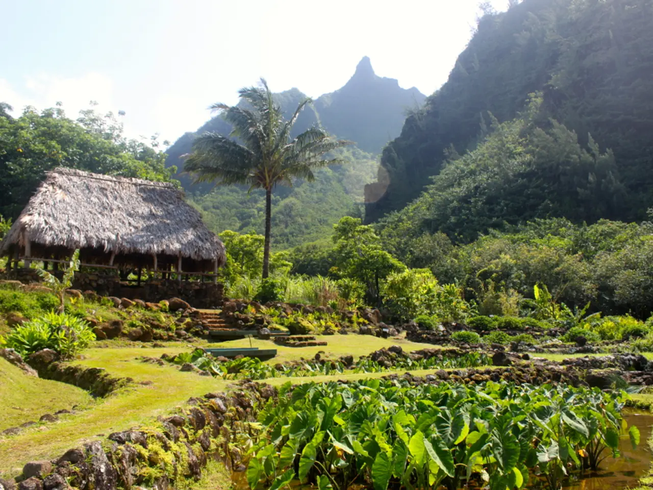 Uncommon Instance of Brain Damage Following Electrical Injury