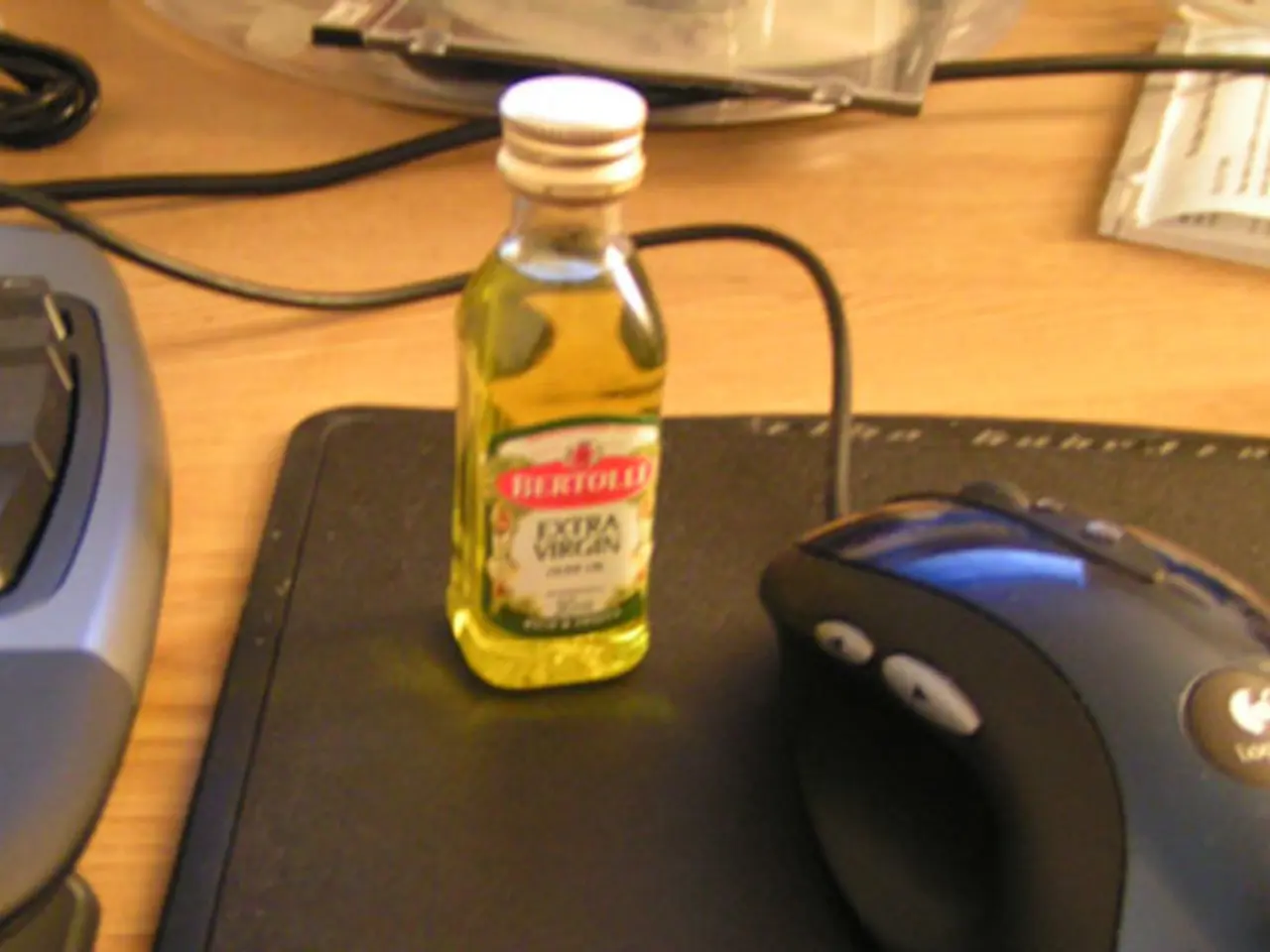 Instructions for Neuroplasticity Exploration