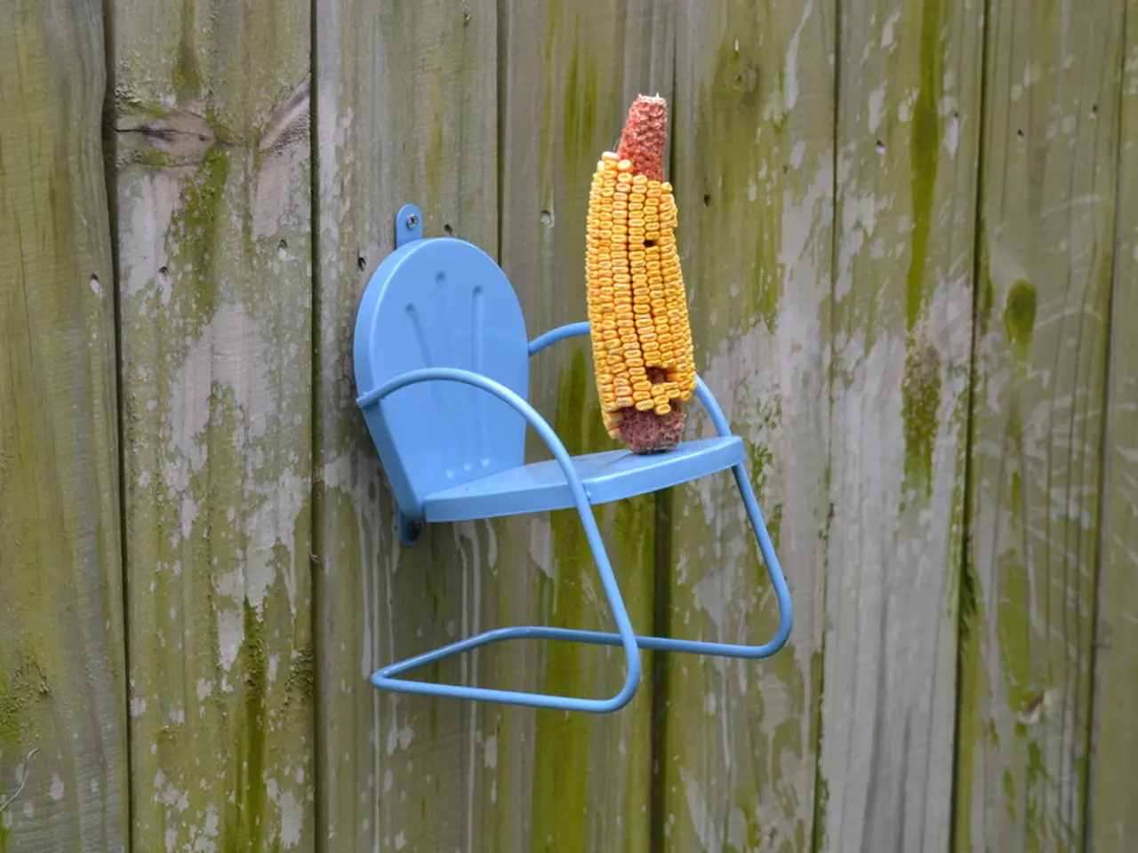 Corn Rust Outbreak: Prevalent Issue in Agriculture Sector