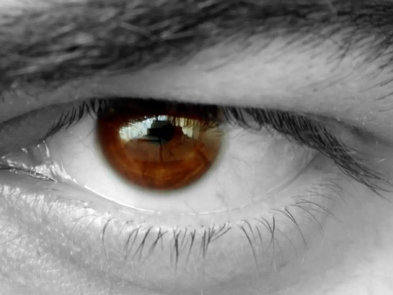 Eye problems linked together: Understanding the relationship between Blepharitis and dry eyes.