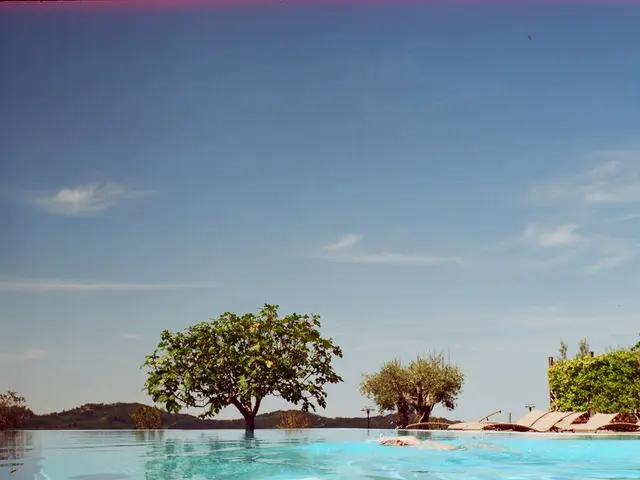 Strategies for Managing Summer Heat: 13 Methods to Guarantee Mental Clarity During the Sweltering...