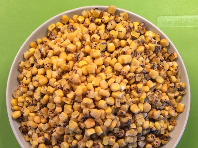 Unveiling the Perks of Chia Seeds: Optimal Consumption Methods Uncovered