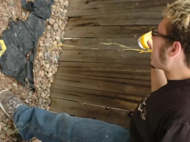 Methods for Alleviating Nausea at Home: Simple Solutions