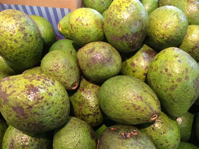 Chlorophyll: Its Advantages, Sources in Food, and Dietary Supplement Options