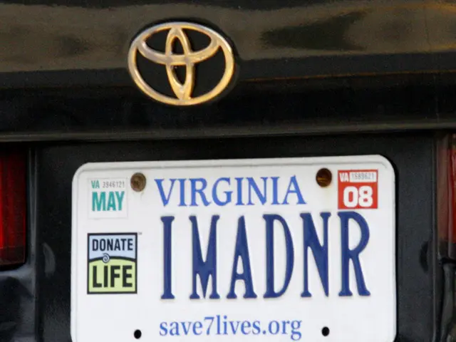 Threatening stroke event: Explanation of plaque thinning and fragmentation