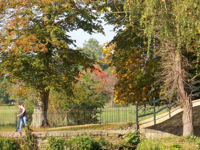 Eight Invigorating Nature Walks with Companions to Ignite Outdoor Awe during the Seasons