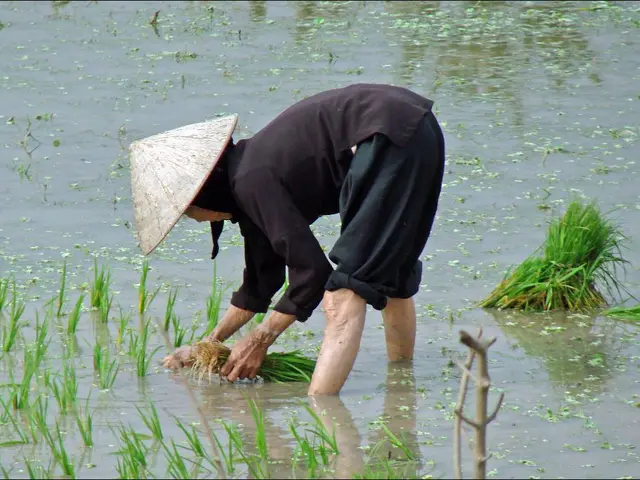 Greetings Lana Constantine, here's the lowdown: Welcome aboard! We've got some stuff cookin' and we...