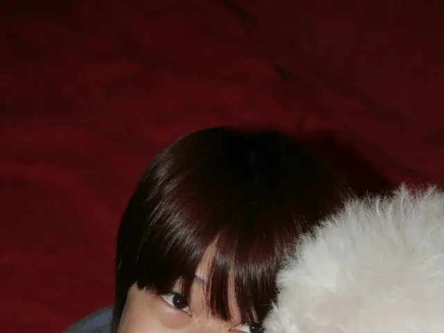 The Impact of Pets on Happiness and Enhancing Life Quality