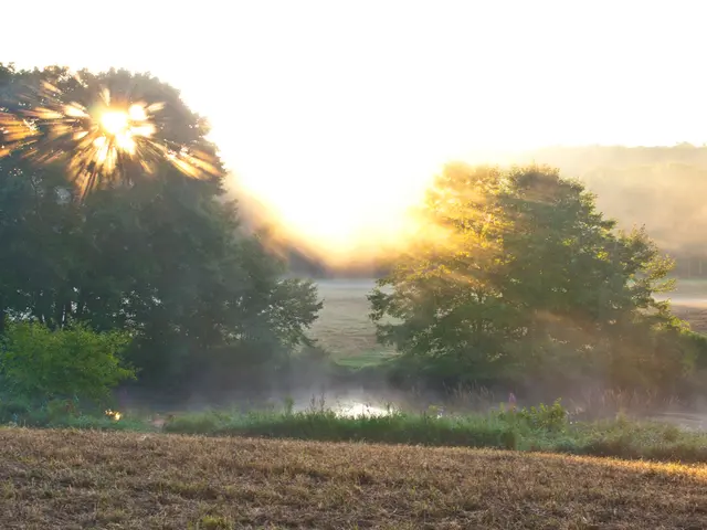 Essential Bounties from the Earth Soil Offer to Flora