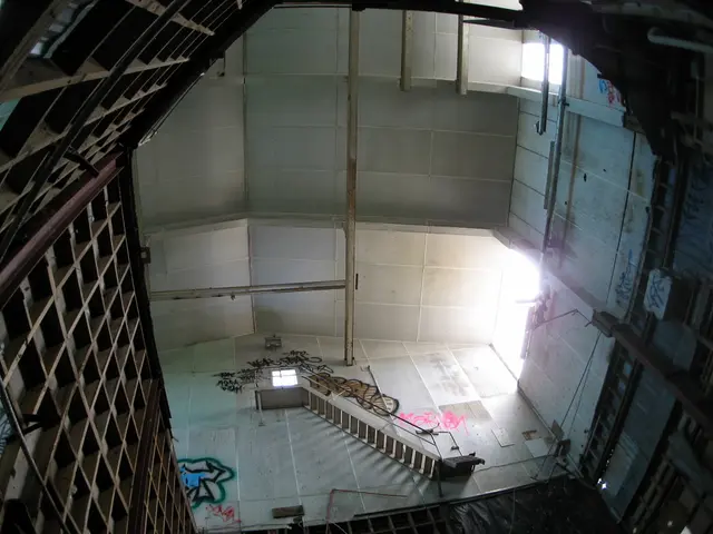 Supplementary Iron: Varieties, Purposes, and Potential Adverse Effects