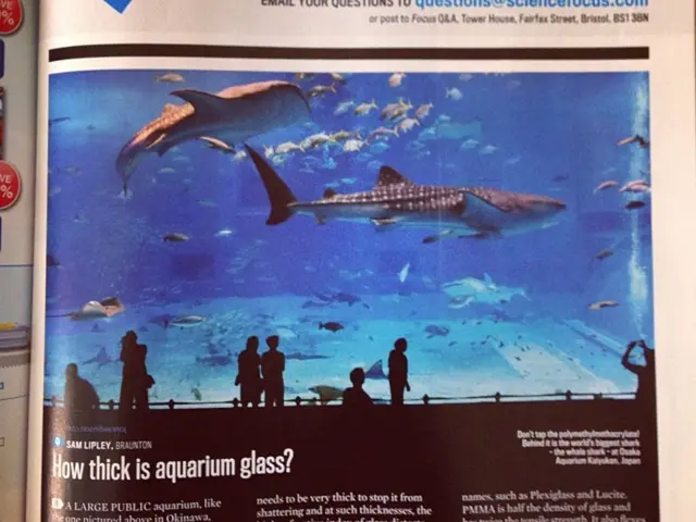 Role of Social Safety Nets in Ensuring Human Species Survival