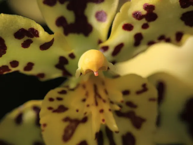 Promoting Understanding: Strategies for Boosting Awareness Regarding Mental Health Issues