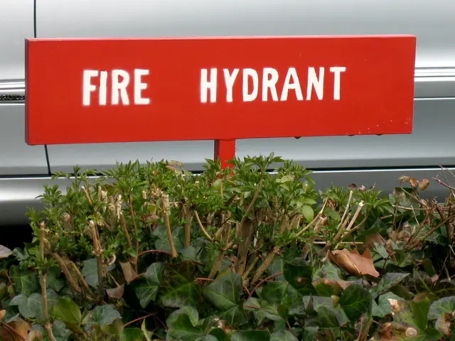 Mars Life Discovery by NASA's Viking Project Half a Century Ago Possibly Followed by Its...