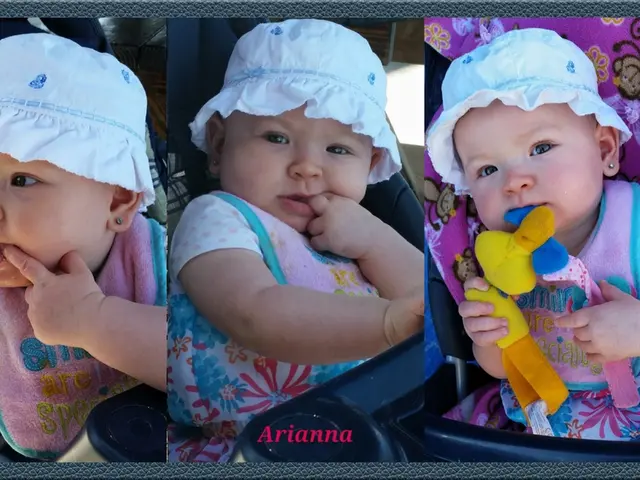 Exploring the Intense Focus Areas of Autism Spectrum Disorders