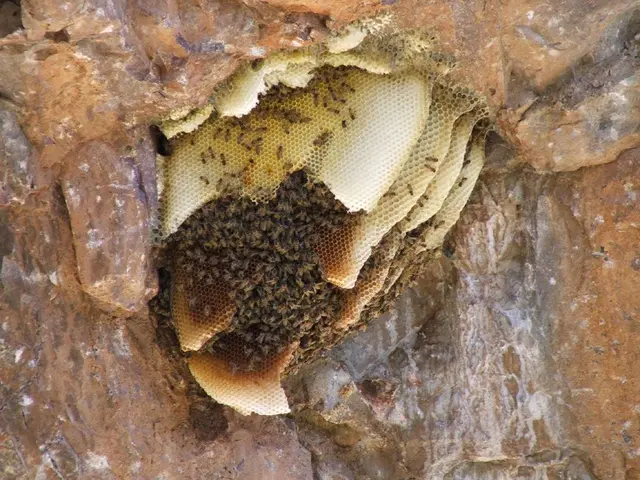 Facial Rash from Stress: Recognizing the Symptoms, Understanding the Sources, and Seeking Remedies