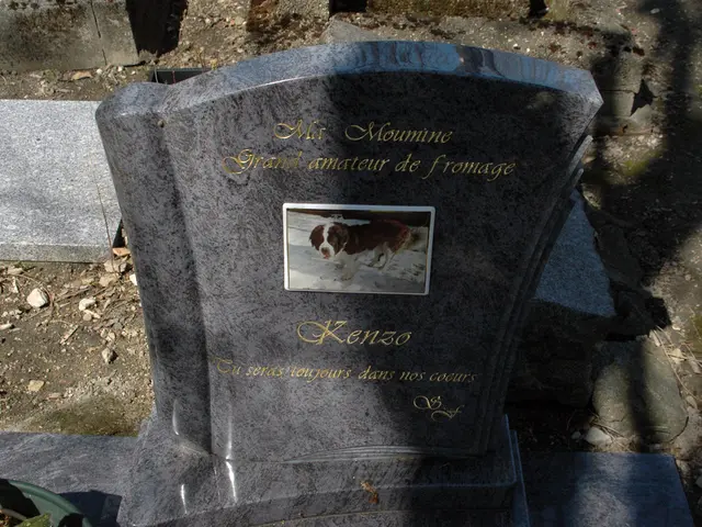 Unveiling the concealed message, as reported by the mourning mother