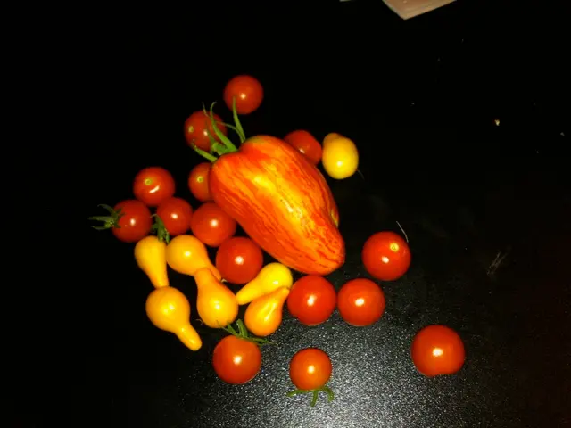 Health trainer shed 9 kilograms in 3 months advocates consumption of 10 fruits for reducing...