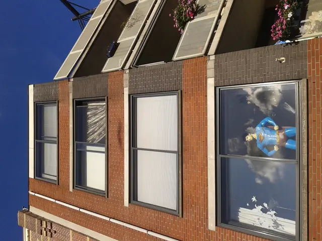 Top Picks: Indoor Flora to Combat Allergies at Home