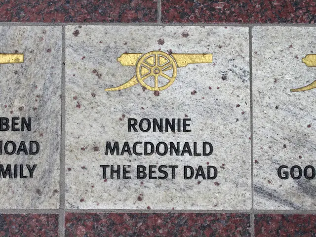 Genetic Data Classification: Insights into DNA Code