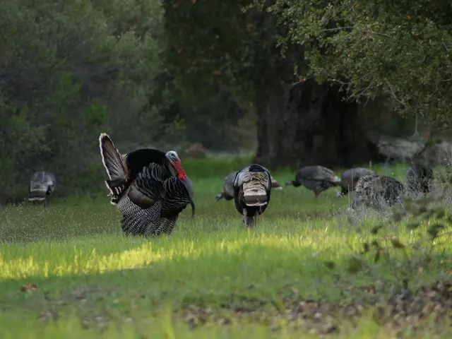 Activist under 41-day hunger strike supported by Refugee Council