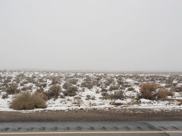 Mars colonists potentially benefit from recent findings: Majority of Martian glaciers comprise of...