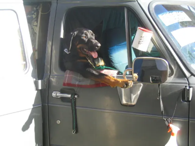 Acne Treatment with Essential Oils: Advantages, Disadvantages, and Additional Facts