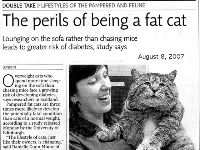 Escalating Incidence of Domestic Violence in Germany, According to Reports