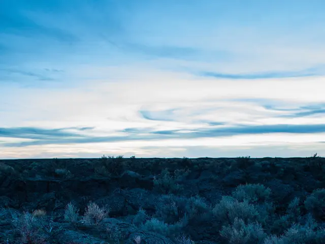 Elderly Man, 76 years old, accused of poisoning three boys aged between 6 and 11 years, by lacing...