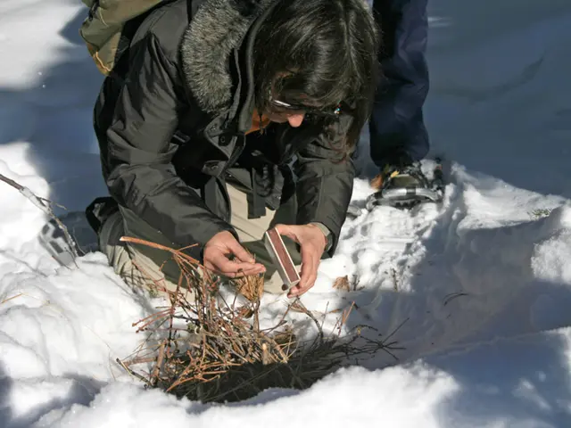 Increased Inactivity Among Women During Winter: Nine Efficient Strategies to Maintain Fitness...