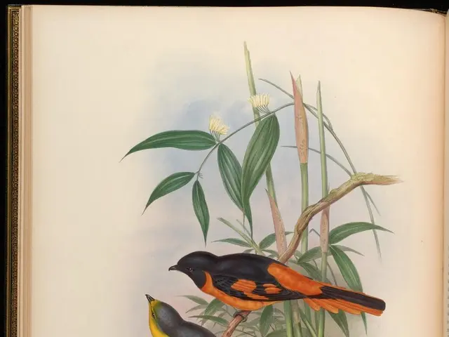 Addressing a Healthy Diet for Parakeets: Comprehensive Parakeet Maintenance