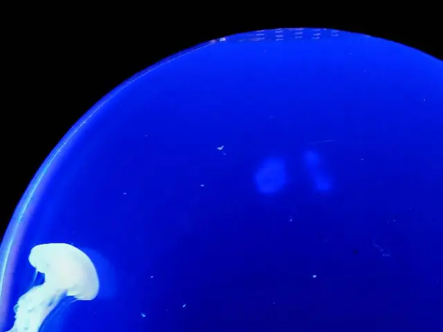 Unprecedented videos show strange marine life thriving in the extreme depths of the world's ocean...