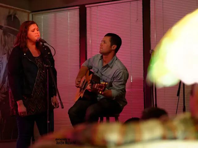 Pursuing niche or wide audiences: A question facing independent movie creators regarding their...