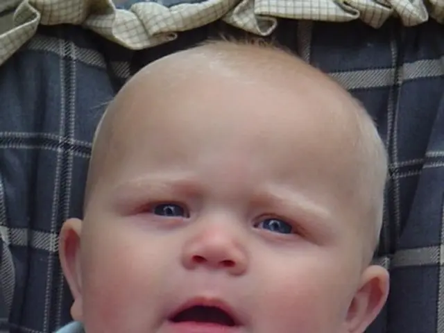 Woman from New Zealand conceals infant in a suitcase, discovered unharmed