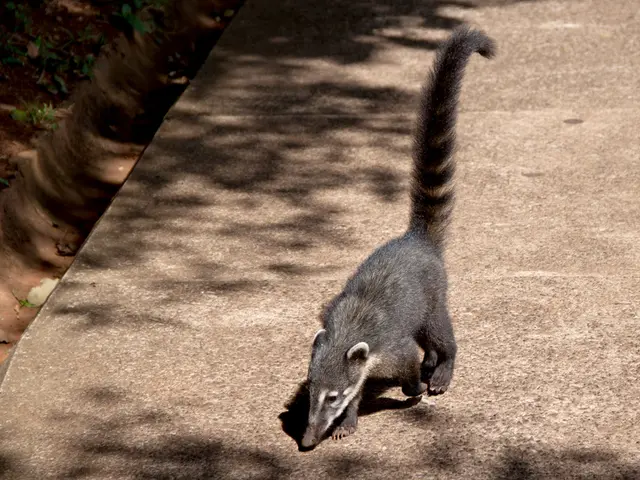 Abdominal seizures: Root causes, noticeable signs, medical care options, and related information...