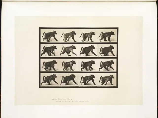 Zoo administrator faces lethal threats following baboon's slaying