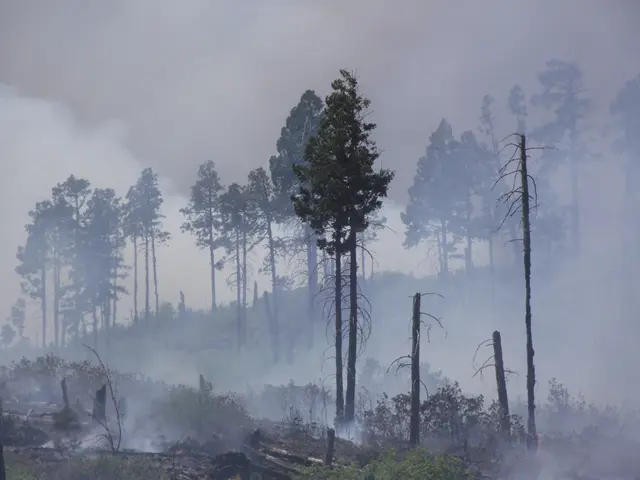 NY city records record-low smoking prevalence
