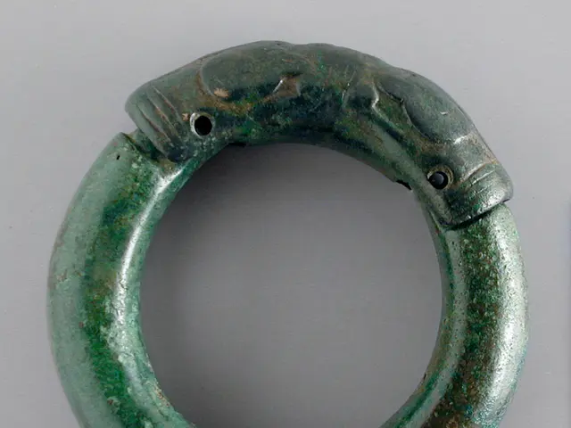 Duration of Cock Ring Use: A Detailed Overview for Safe Practice