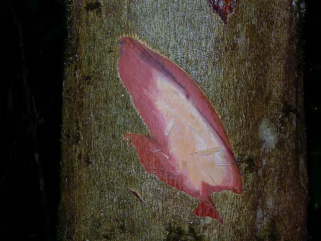 Questions Arise Regarding Stem Cells' Impact on Elderly Joint Health and Motion