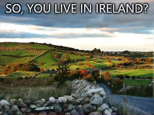 Assessing key factors when purchasing a residence with oil-fueled heating systems