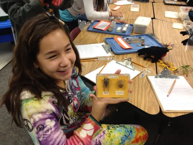 Preschools have been made available