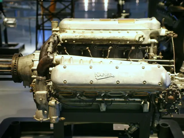 Google's AI Accelerator Program accepts Daiser