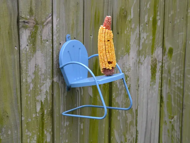 Corn Rust Outbreak: Prevalent Issue in Agriculture Sector