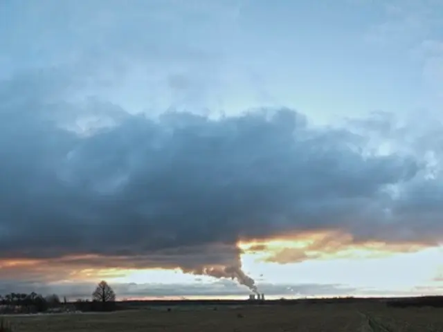 World Health Report - Global Warming Taking a Toll on Our Health (LINK TO REPORT)