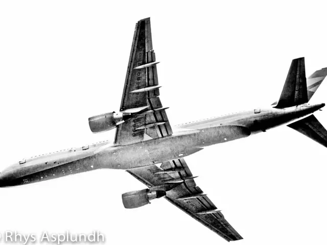 Flight Mishap Obsession - Concealed Anxieties and Their Interpretation