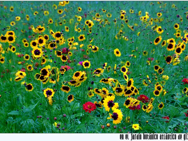 Sky exhibits a captivating display this weekend featuring the full moon, various planets, and two...