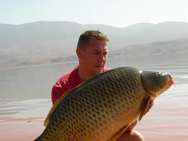 Salmon Populations Boosted by River Presence of Vitamin B1