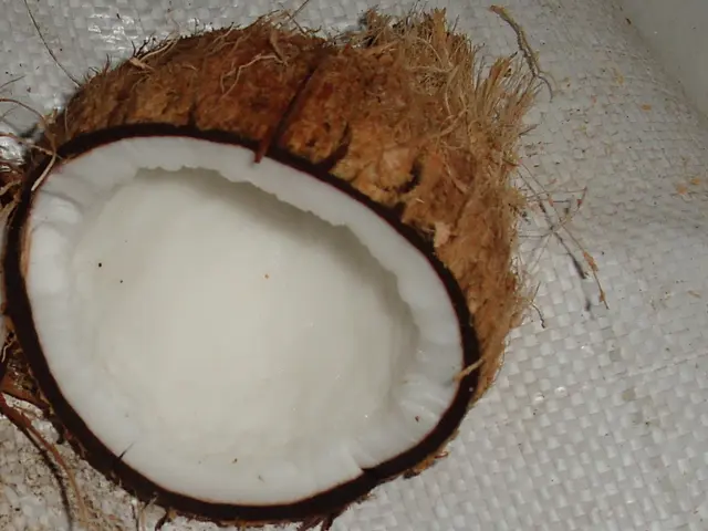 Multipurpose Coconut Oil: Applications in Cooking and Health Benefits