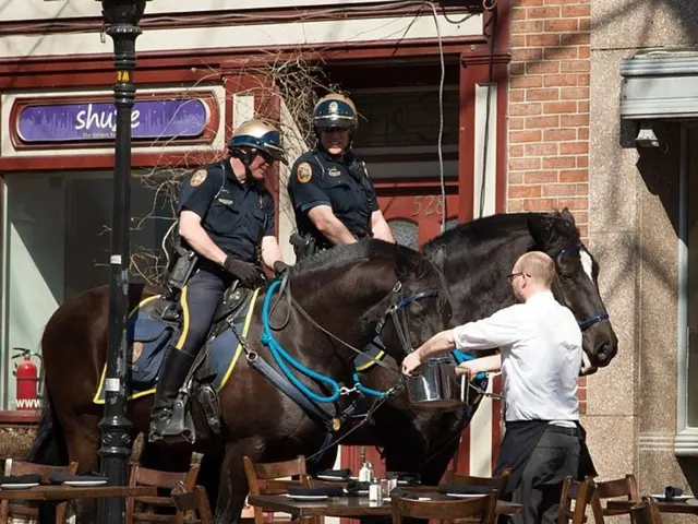 Supplying Horse Food