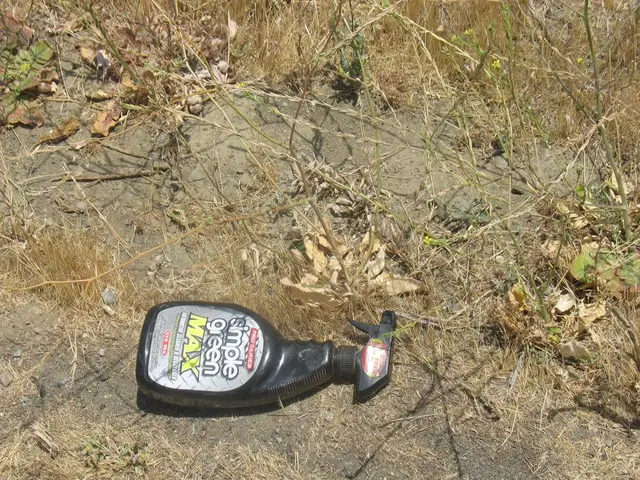 Guideline for Moving Land-Grown Plants to Aeroponics: Detailed Process